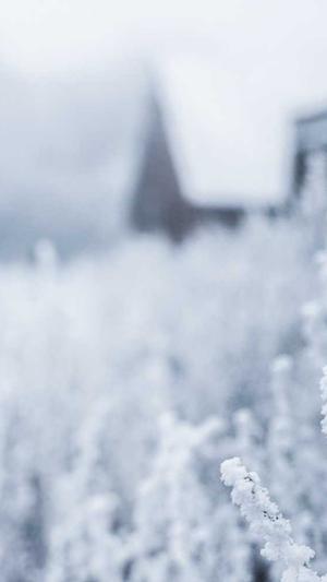 陕西seo优化关键词工具截图1