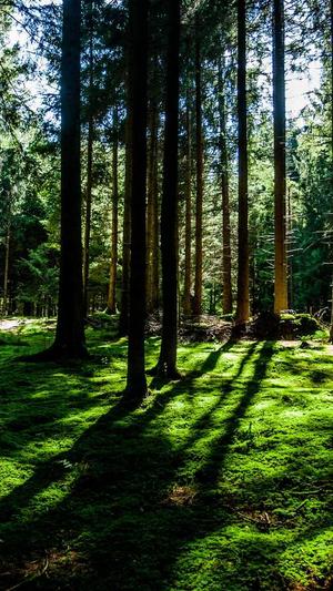 seo关键词优化截图3