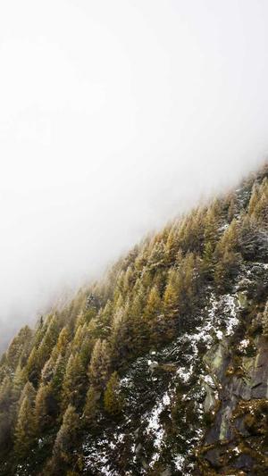 重庆seo点击工具截图3