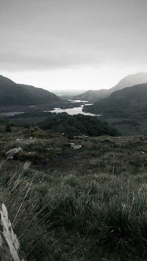 seo推广优化截图1