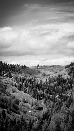 站长之家seo工具包截图1