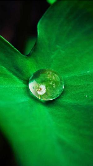 seo优化公司截图2