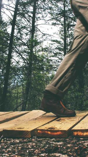 湖南蜘蛛池出租包月截图1