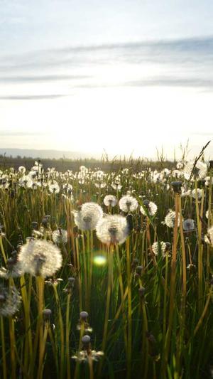 企业展示型网站建设截图3