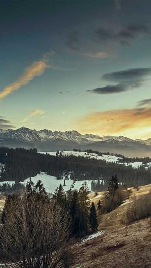 网站外链建设截图2