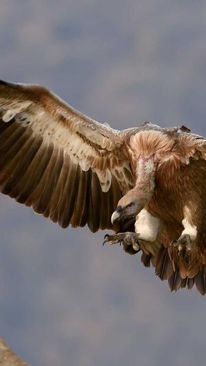 百度蜘蛛池怎么样打开截图3