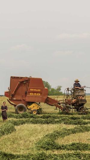 网站建设制作截图2