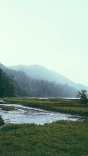 seo点击工具排名截图4