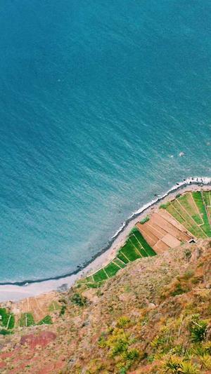 高酷蜘蛛池官网截图1