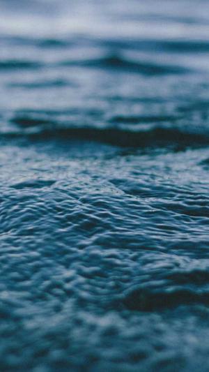 蜘蛛池程序测评截图3