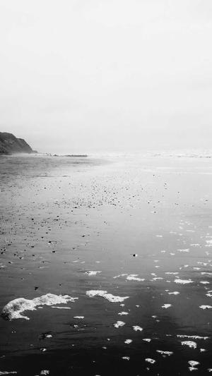 泛目录代做小姐词截图1