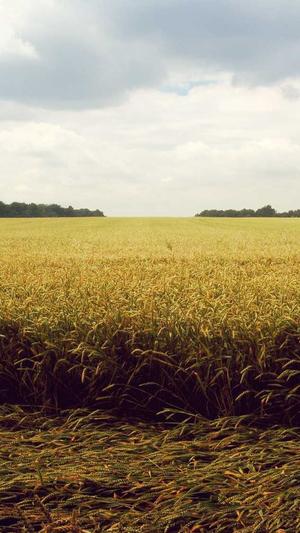 丽水网站建设截图1