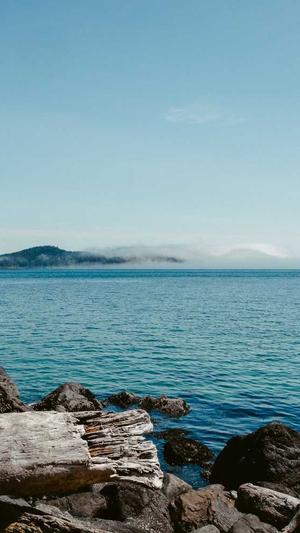 蜘蛛池软件原理截图1