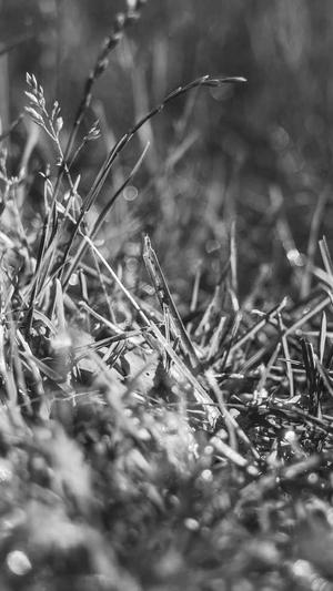 江阴网站建设截图4