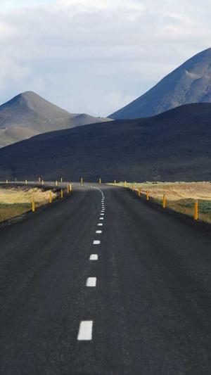 站群程序泛目录截图3