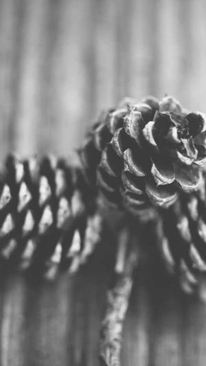 长春的网站建设截图4