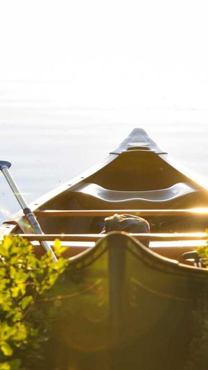 石家庄seo排名截图3