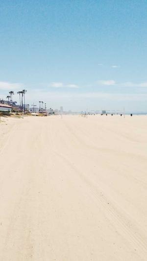 神马蜘蛛池租用多少钱截图5