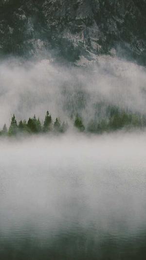 泛目录站群原理 培训截图3