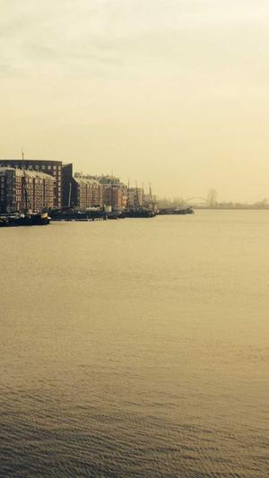 反向代理泛目录截图4