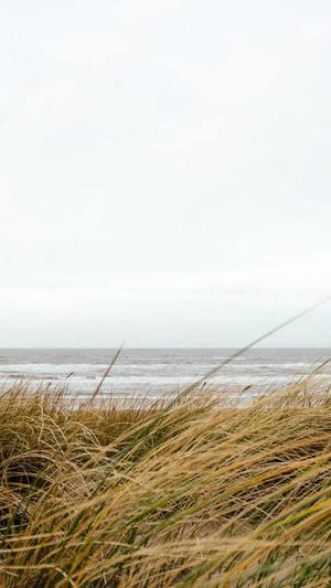 谁有蜘蛛池出租截图3