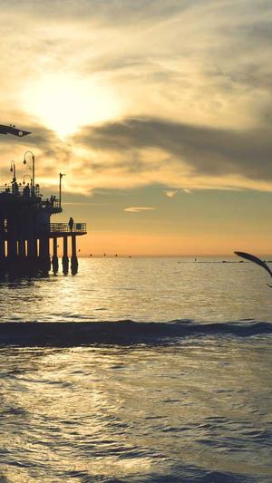 seo站长工具哪个更好截图2