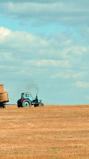 淘宝seo主要是什么截图4