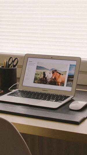 黄冈网站seo截图1