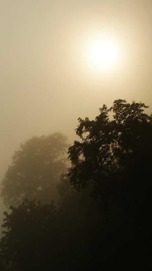 seo工具优化包截图3