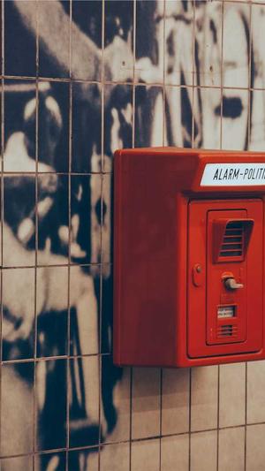 seo查询和工具截图1