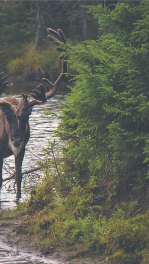 柳州网站建设截图2