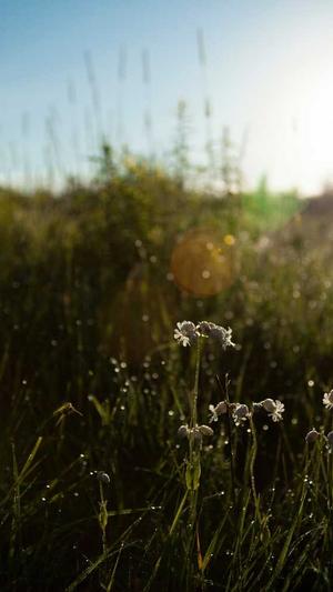 seo工具最好的是什么截图3