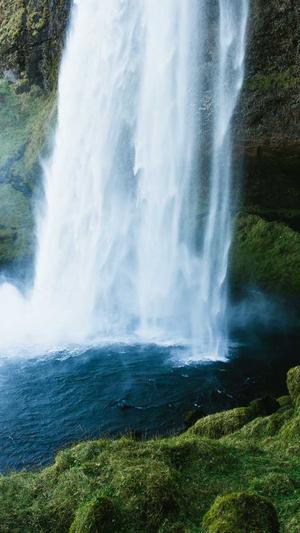 蜘蛛池免费seo平台截图3