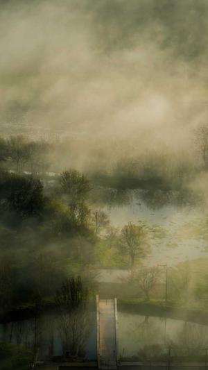 品牌网站建设方案截图1