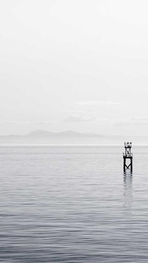 百度seo建议截图2