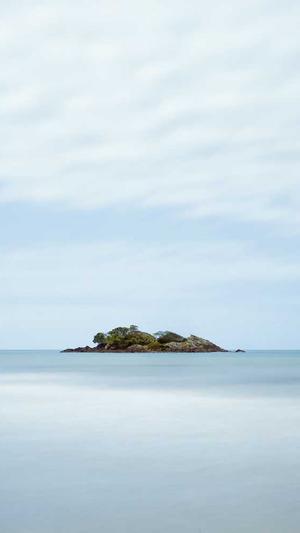 百度蜘蛛池原理图截图3