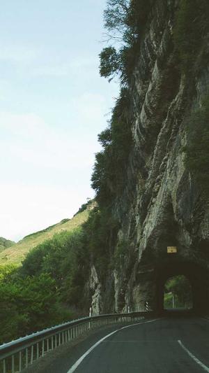 英文网站建设截图1