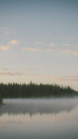 seo网站推广工具截图2