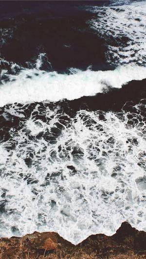 做站群泛目录截图5