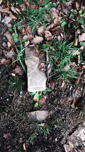 合肥seo排名截图5