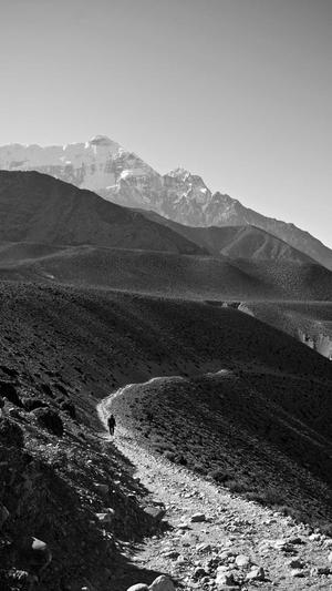 网站建设 东莞截图1
