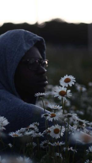 seo点击工具价格截图2