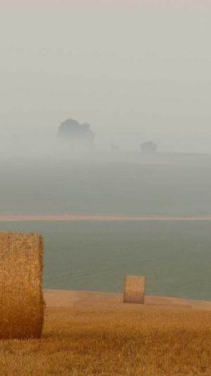 合肥seo排名截图2