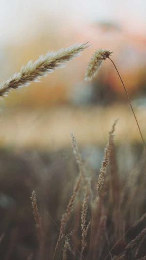 seo排名工具哪家好截图5