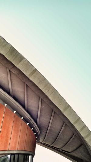 蜘蛛池吸引蜘蛛方法截图4