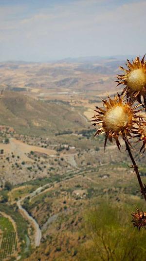 seo关键词挖掘工具截图1