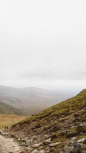 什么蜘蛛池比较好养截图2