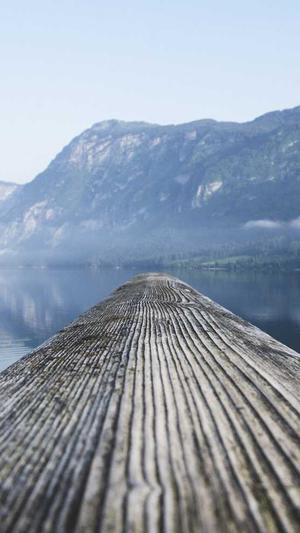 蜘蛛池需要域名吗截图2