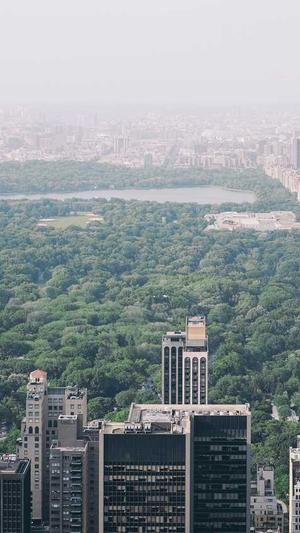 北京seo推广工具截图1