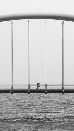 惠州seo博客截图5